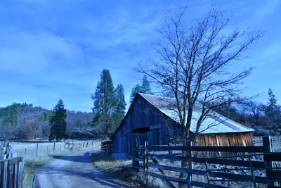 DSC_5828 (Large).JPG